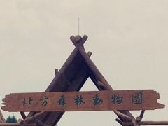 -哈尔滨北方森林动物园