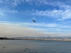 -西昌邛海湿地