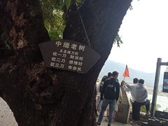 -西双版纳傣族园