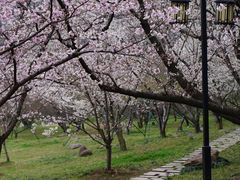 -苏州上方山国家森林公园