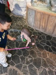 -Zoolung Zoolung动物主题公园(海信广场店)