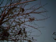 -小雅青年旅舍(平江路店)