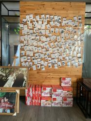 -菲林婚纱摄影工作室