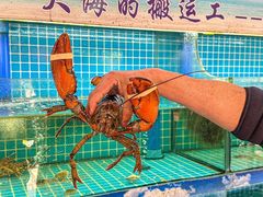 -坛南湾阿强农家乐.海鲜大排档老字号(福州地标美食店)
