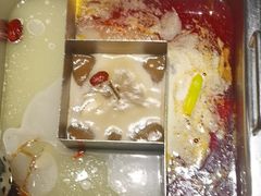 -鼎膳常火锅(华阳店)