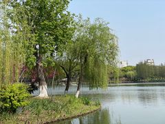 -圩墩遗址公园