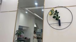-YESIDO椰岛造型