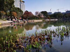 -昆山城市公园