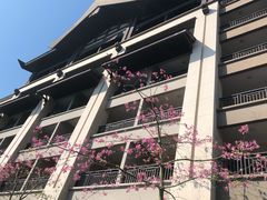 -清远熹乐谷温泉度假酒店