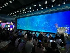 -烟台海昌鲸鲨海洋公园