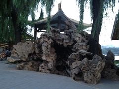 -紫竹院公园冰场