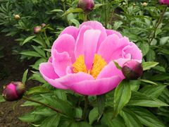 -合肥三国新城遗址公园