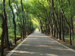 -同里国家湿地公园