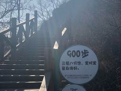 -大岭沟猕猴桃谷风景区