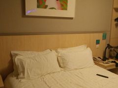 -白玉兰商务酒店(上海陆家嘴滨江店)