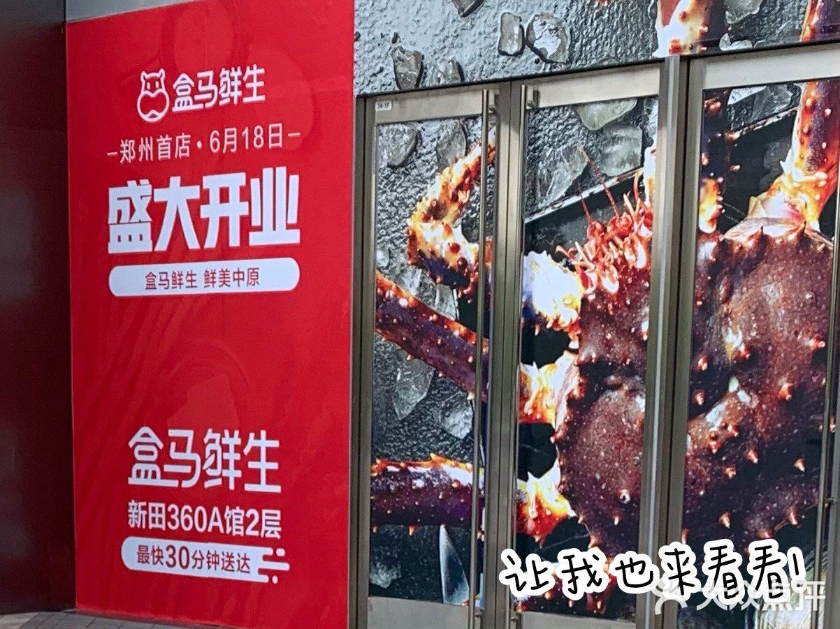盒马终于开业了！