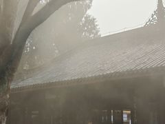-子昂故里文化旅游区