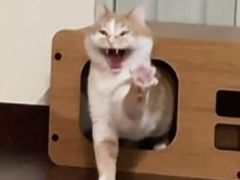 -金夫人化妆摄影职业培训学校