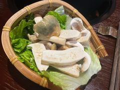 -滇野云南野生菌餐厅(陕西南路店)