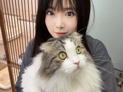 -翊宠yipet猫狗购宠庄园犬舍•猫舍