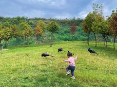 -世界恐龙谷景区