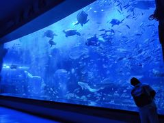 -多彩贵州城极地海洋世界