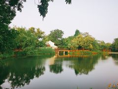 -西溪国家湿地公园