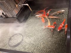 -0776食堂·京城创意菜(七里庄店)