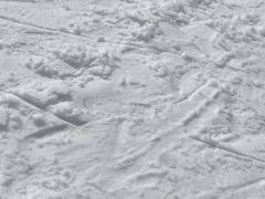 -太子岭滑雪场