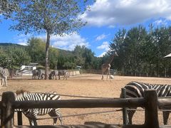 -大连森林动物园