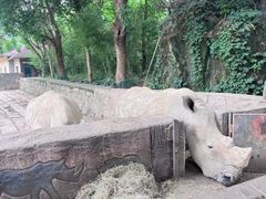-杭州野生动物世界