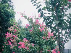 -民心佳园(地铁站)