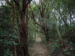 -马峦山郊野公园