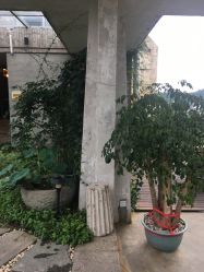 -罗亚帝·NASHOW纳秀形象设计