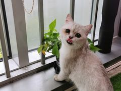 -M.S拳击泰拳馆(大学路店)