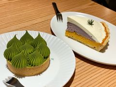 抹茶挞-猫里有甜