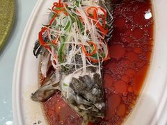 -老洋房花园饭店(绍兴路店)