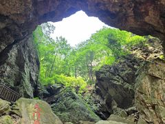-大连天门山国家森林公园