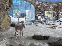 -珠海长隆海洋王国