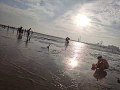 -奉贤海滩