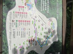 -野象谷景区