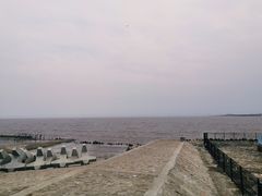 -南汇新城海滩