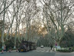 游乐设施-中山陵景区
