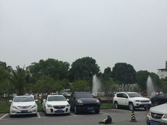 -上海中医药大学附属曙光医院(东部)