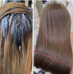 -IP SALON