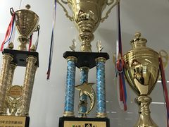 -蓝莓果幼儿园(通州梨园店)