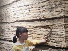 -杭州杭帮菜博物馆