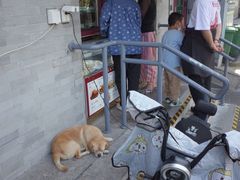 -峨嵋酒家(德内店)