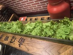 -南门四季铜锅涮肉(左家庄店)