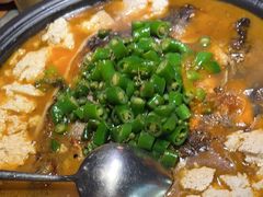 -探鱼·鲜青椒爽麻烤鱼(北京路天河城店)